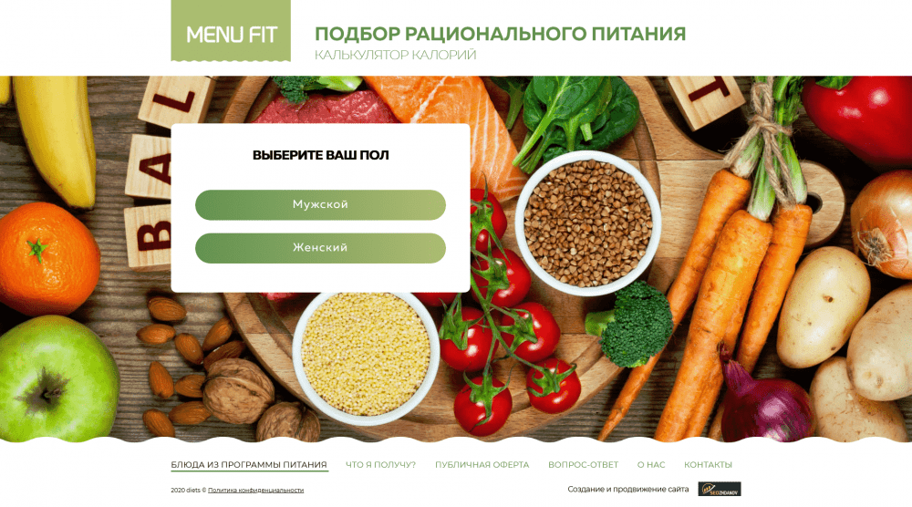 Создание сайта подбора питания