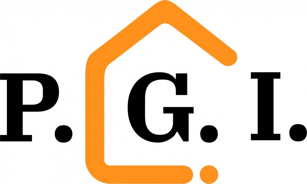 Разработка логотипа для магазина электроники P.G.I.
